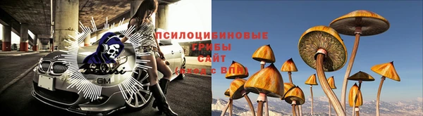 прущая мука Козельск