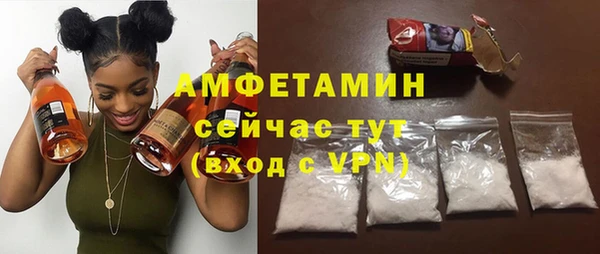 ПСИЛОЦИБИНОВЫЕ ГРИБЫ Козловка