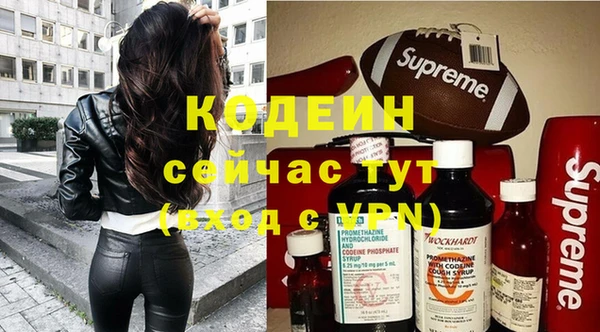 ПСИЛОЦИБИНОВЫЕ ГРИБЫ Козловка