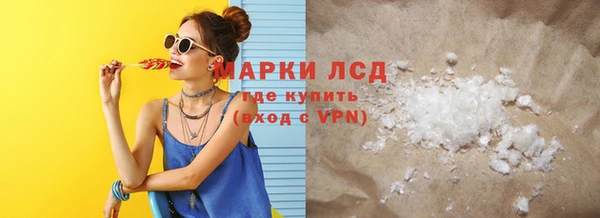 ПСИЛОЦИБИНОВЫЕ ГРИБЫ Козловка