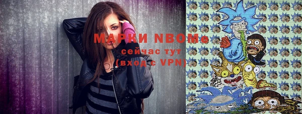 ПСИЛОЦИБИНОВЫЕ ГРИБЫ Козловка