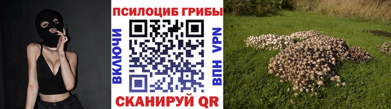Галлюциногенные грибы мицелий  Купить  Междуреченск 